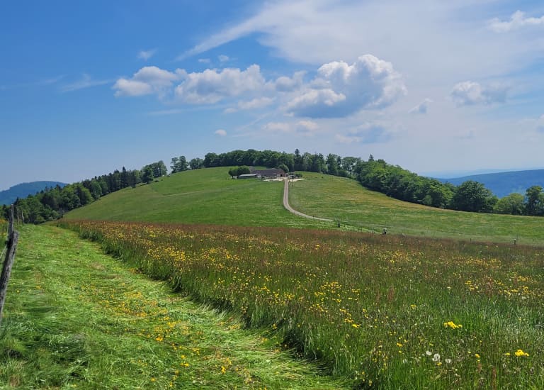 Blick auf die Bergwirtschaft Laupersdörfer Stierenberg mit Hofanlage und Wiese - Mobile